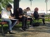 plenet-nr12