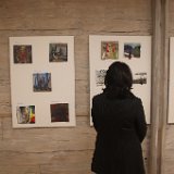 IMG 7561